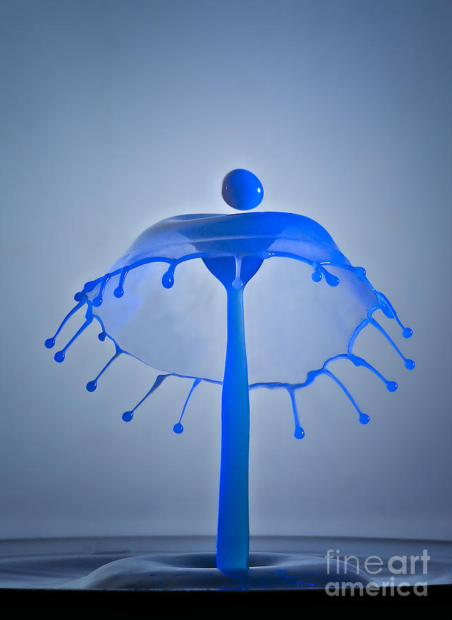 Aqua Umbrella Photograph by Susan Candelario