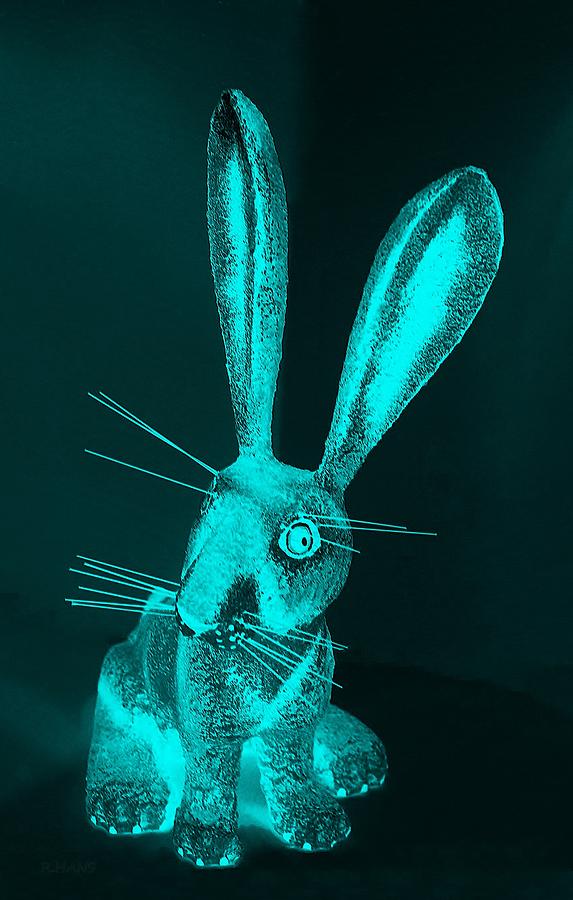 Abstract Photograph - Aquamarine New Mexico Rabbit by Rob Hans