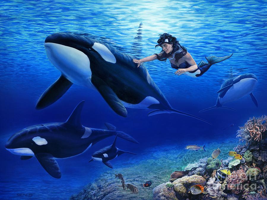 Aquarias Orcas Painting by Stu Shepherd