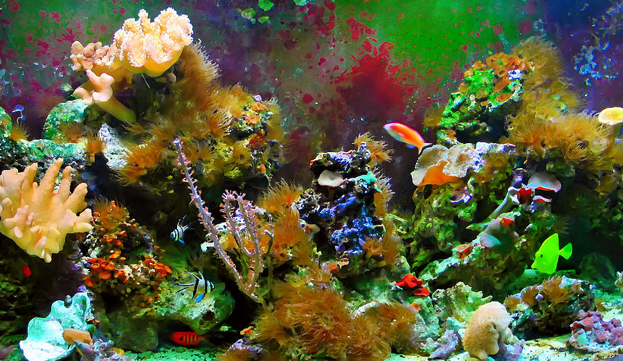 Aquarium Digital Art by Kara  Stewart