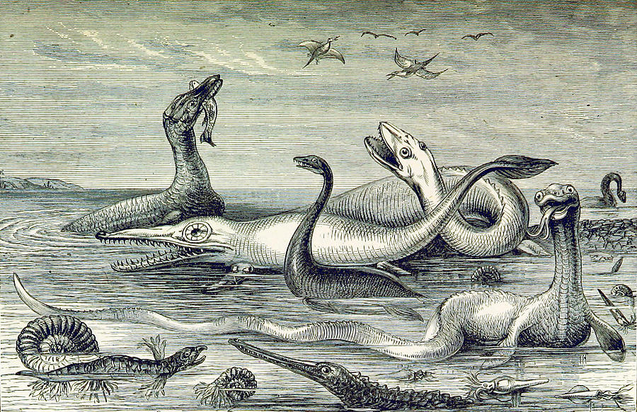 Prehistoric Photograph - Aquatic Life, Mesozoic Era, Illustration by British Library