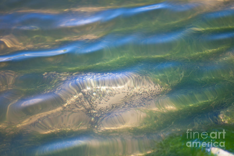 Grass Photograph - Aquatic Motion by Dale Powell