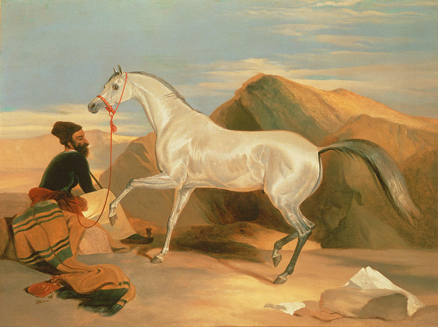 Arab Stallion Painting by Edwin Landseer