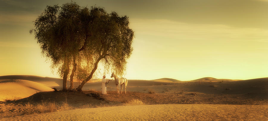 Arabian Desert Photograph by Jeremy Walker