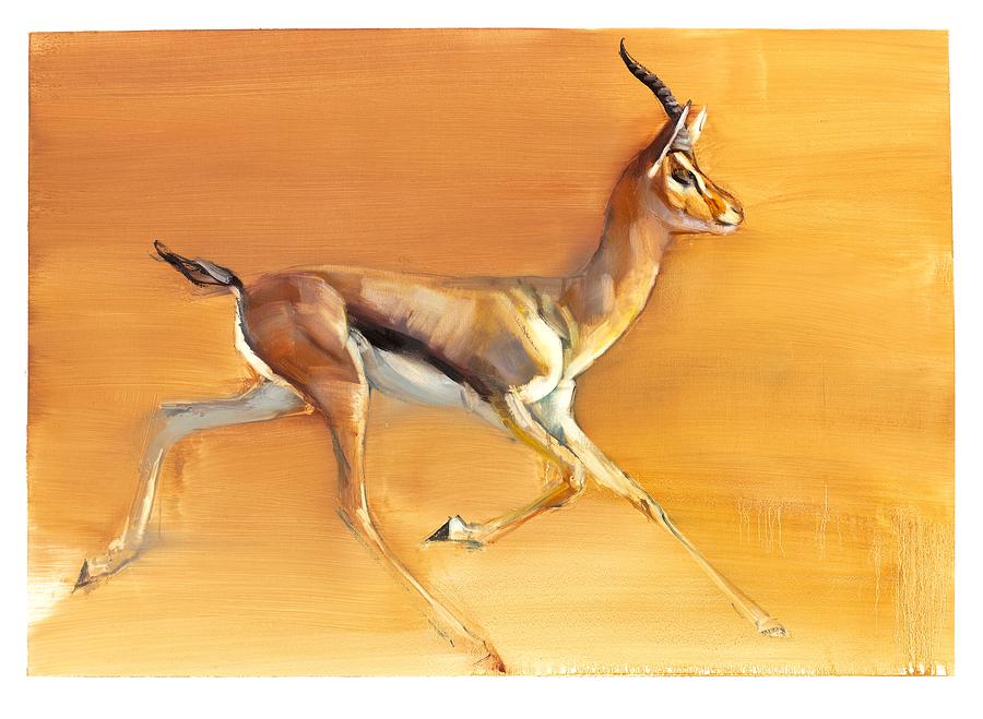 Arabian Gazelle Painting by Mark Adlington