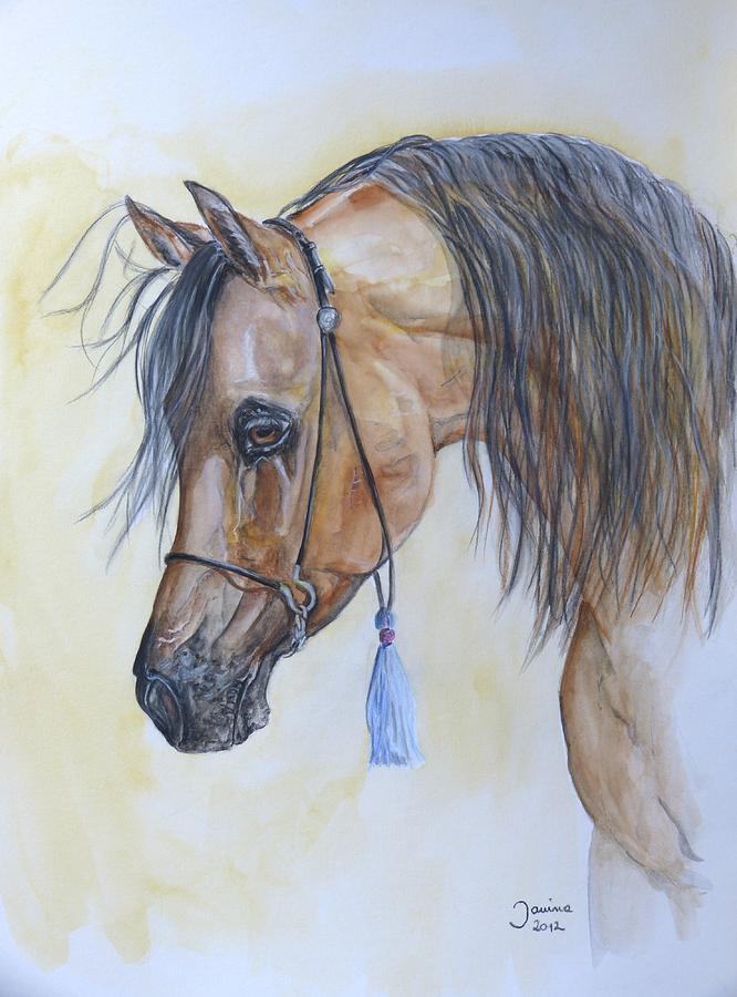 Janina Painting - Arabian head by Janina  Suuronen