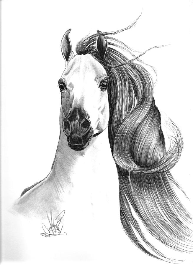 The Arabian Horse Art Print by Piet Flour | iCanvas