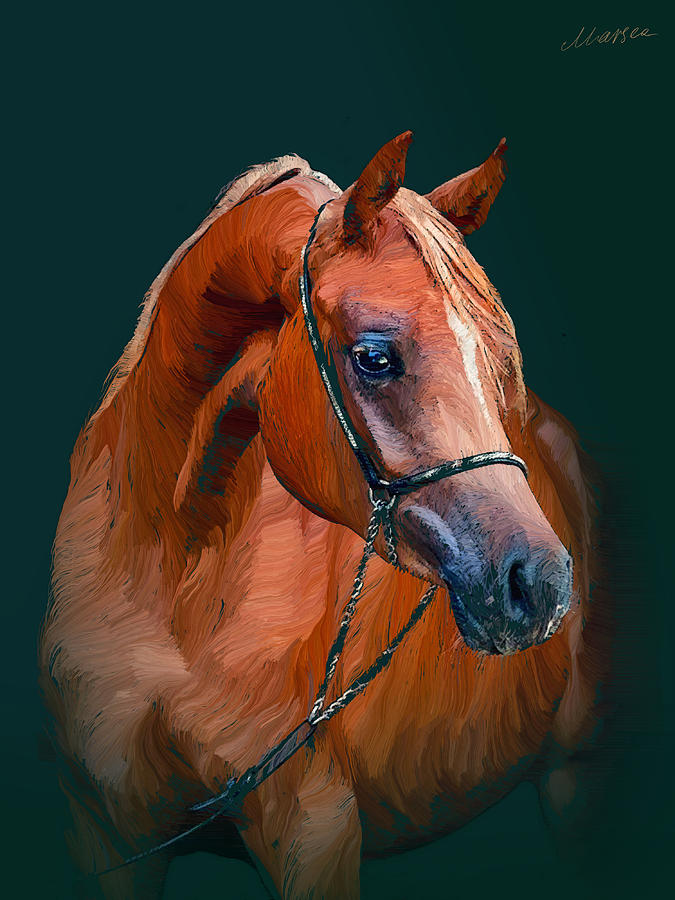 Animal Painting - Arabian horse by Marina Likholat