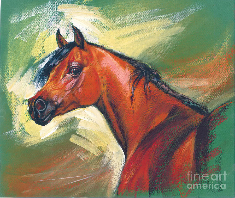 Portrait Digital Art - Arabian Horse by MGL Meiklejohn Graphics Licensing