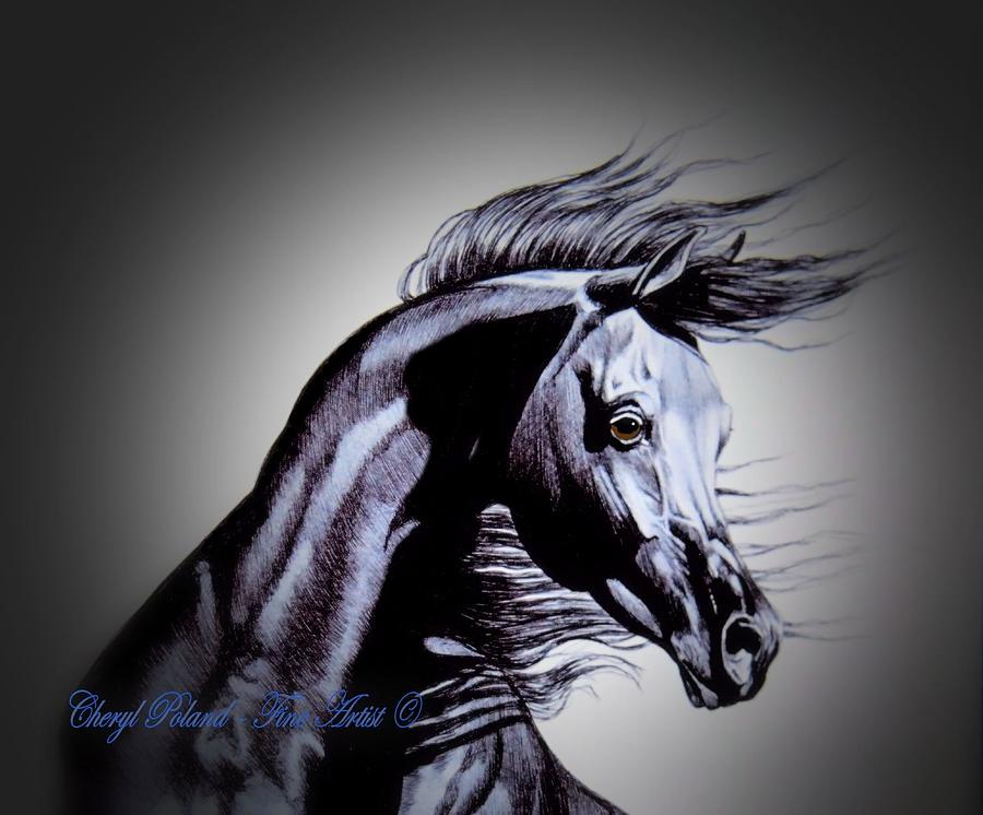 Horse Drawing - Arabian Motivation by Cheryl Poland