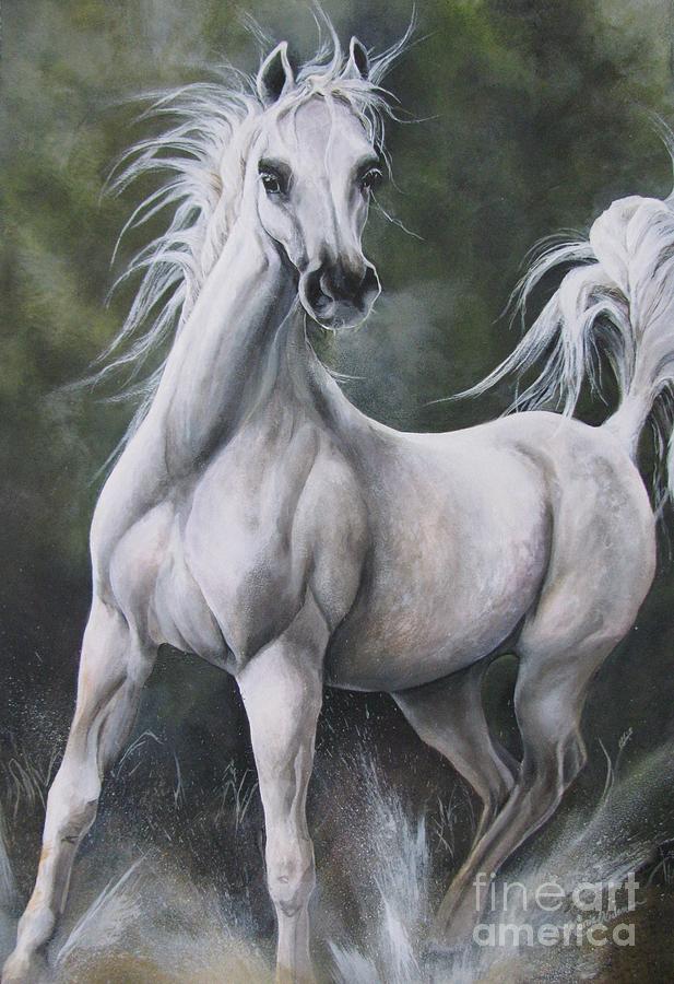 Horse Painting - Arabian Night  by Nonie Wideman