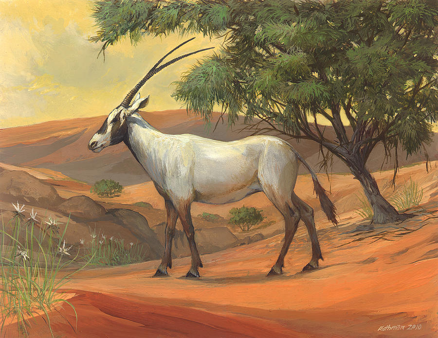 Wildlife Painting - Arabian Oryx by ACE Coinage painting by Michael Rothman