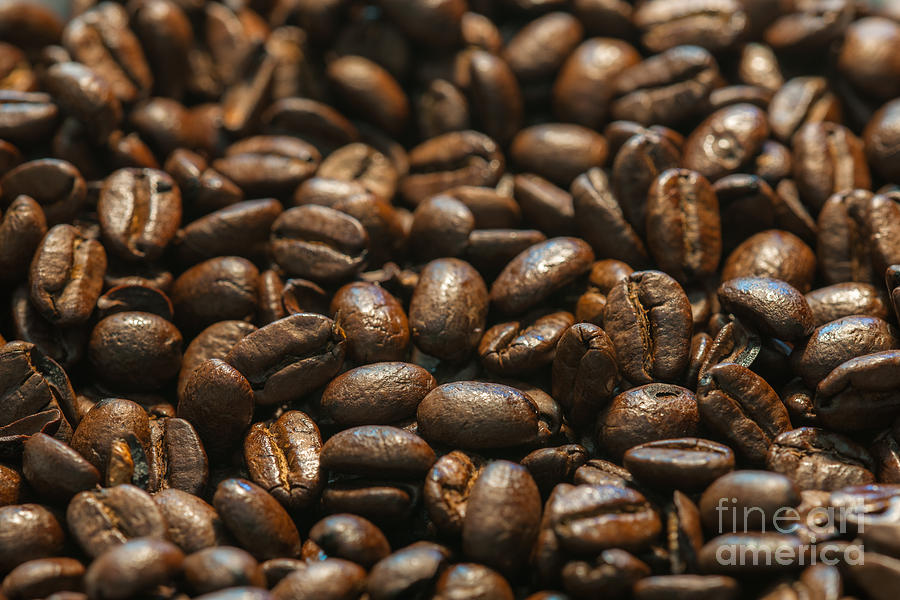 Coffee Photograph - Arabica Beans by Dale Powell