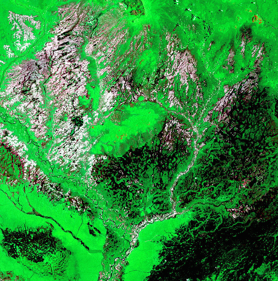 Araca River Photograph by USGS Landsat