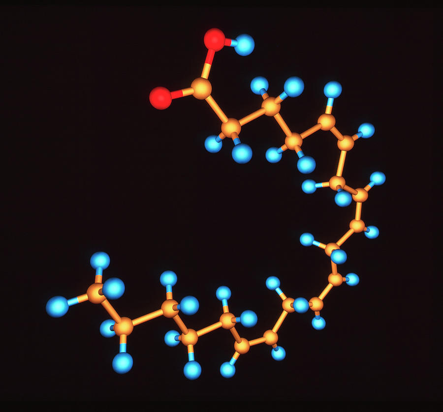 Arachidonic Acid Photograph By Alfred Pasiekascience Photo Library