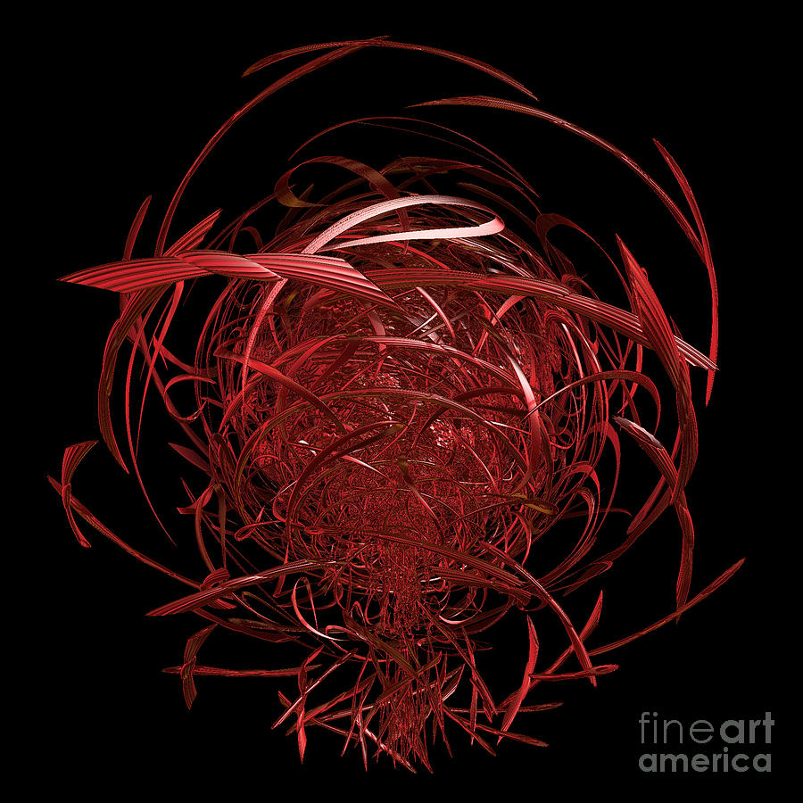 Arachnid by jammer Digital Art by First Star Art