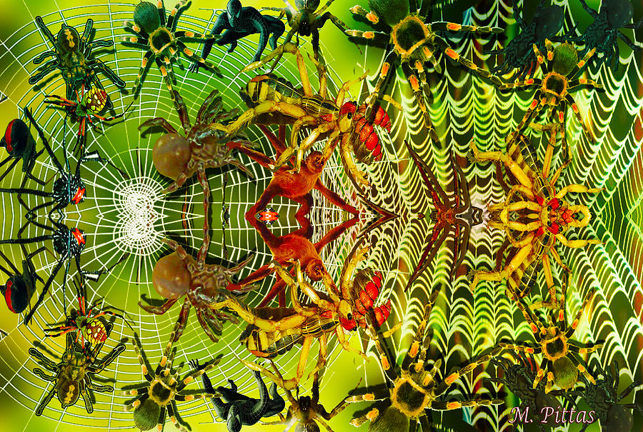 Aracknid harmony Digital Art by Michael Pittas