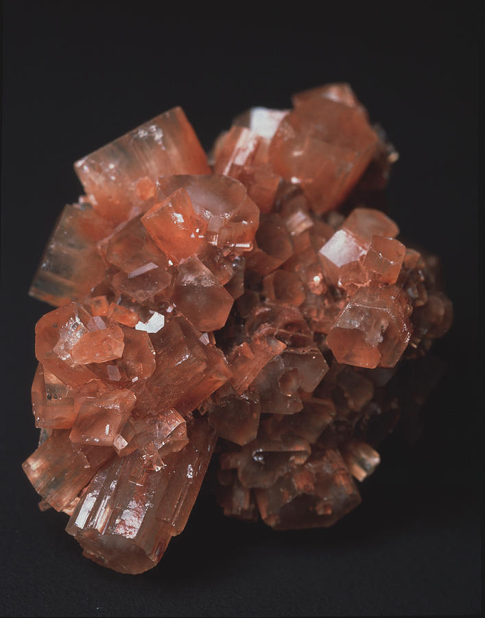 Aragonite Photograph - Aragonite Crystals by Martin Land/science Photo Library