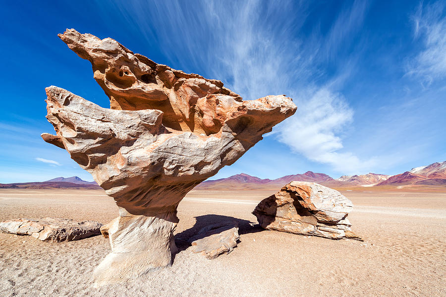 Nature Photograph - Arbol de Piedra in Bolivia by Jess Kraft