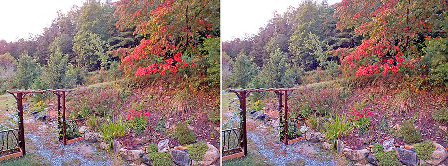 Arbor and Fall Garden Photograph by Duane McCullough