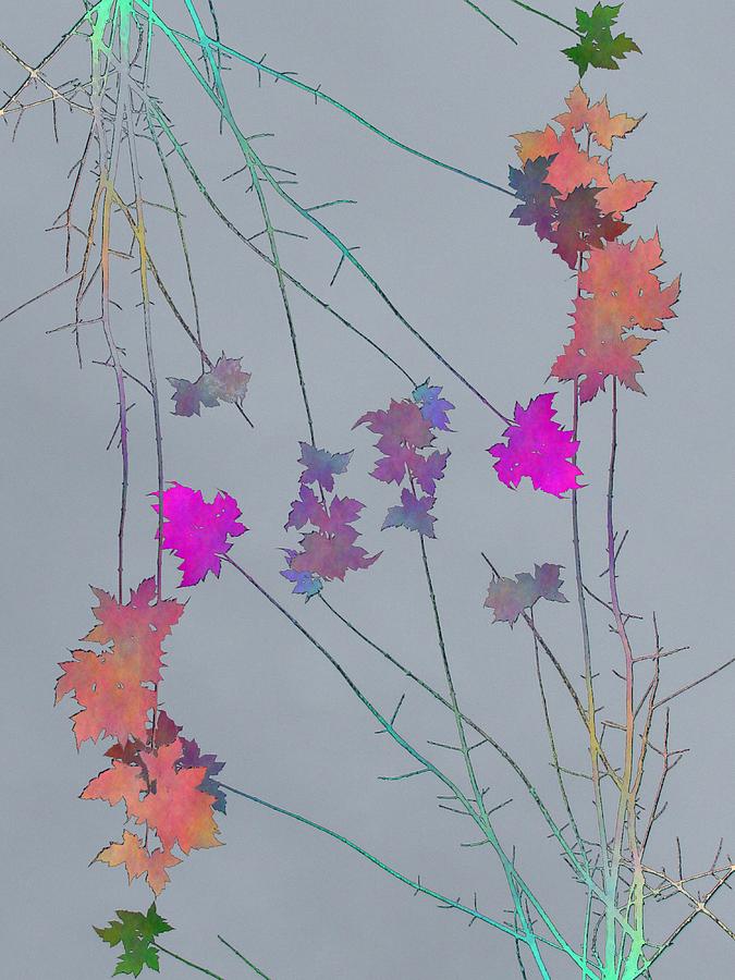 Tim Allen Digital Art - Arbor Autumn Harmony 1 by Tim Allen