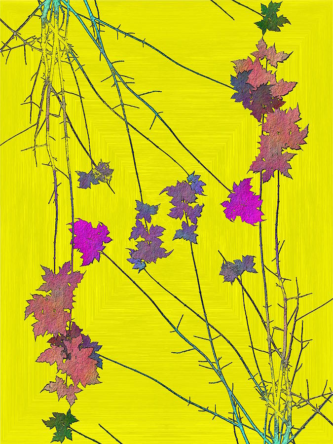 Tim Allen Digital Art - Arbor Autumn Harmony 12 by Tim Allen