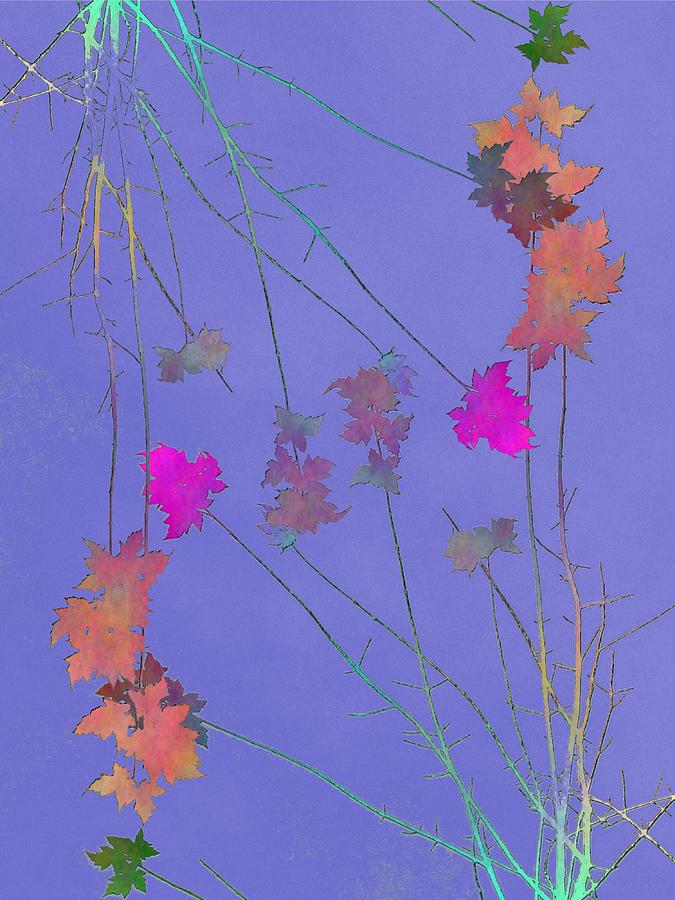 Arbor Autumn Harmony 2 Digital Art by Tim Allen