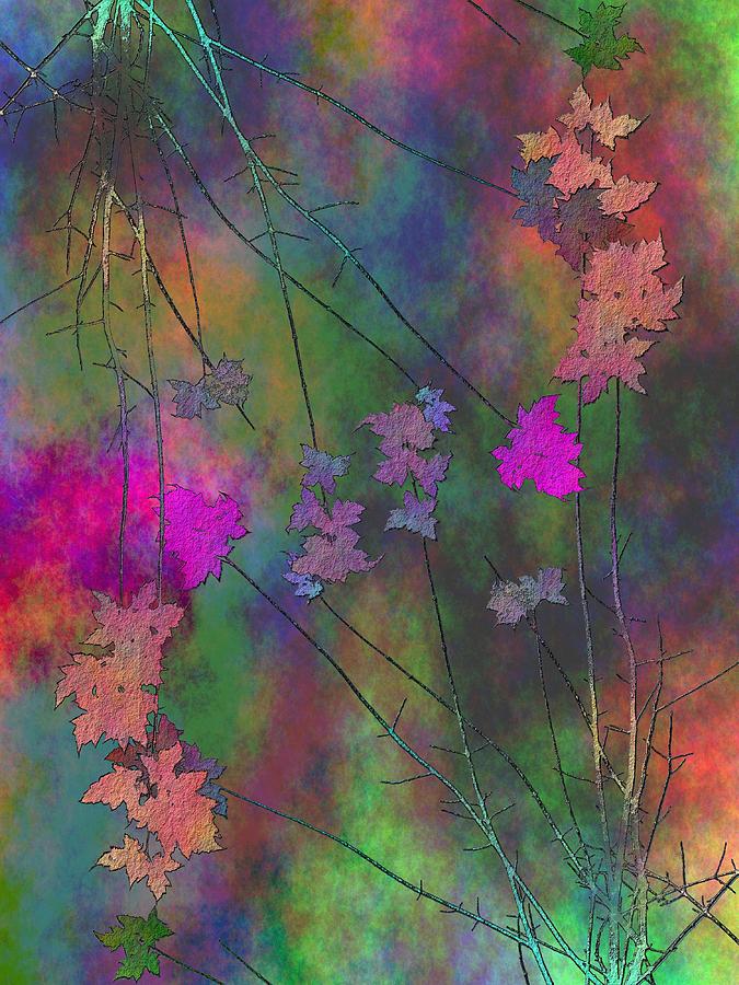 Arbor Autumn Harmony 4 Digital Art by Tim Allen