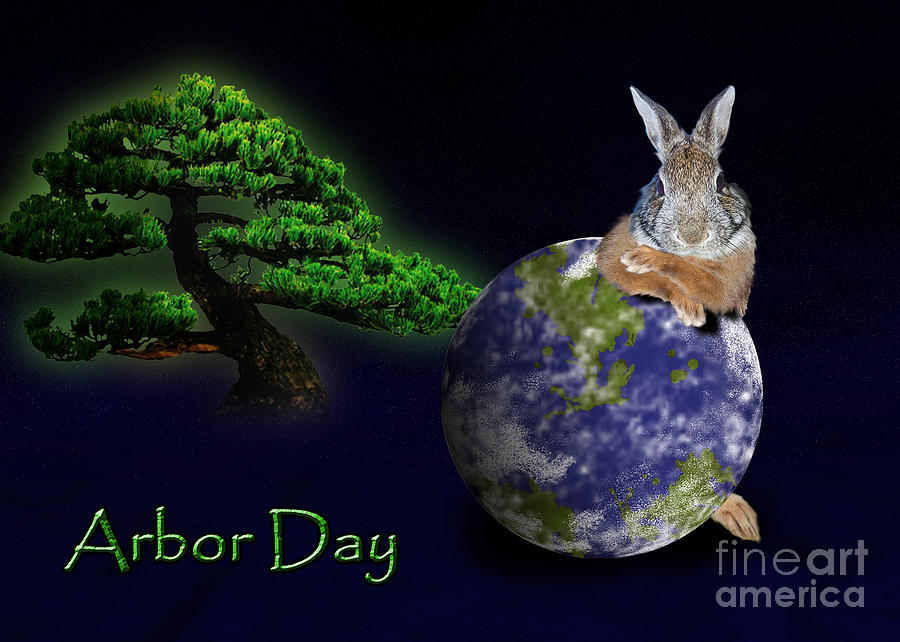 Nature Photograph - Arbor Day Bunny Rabbit by Jeanette K