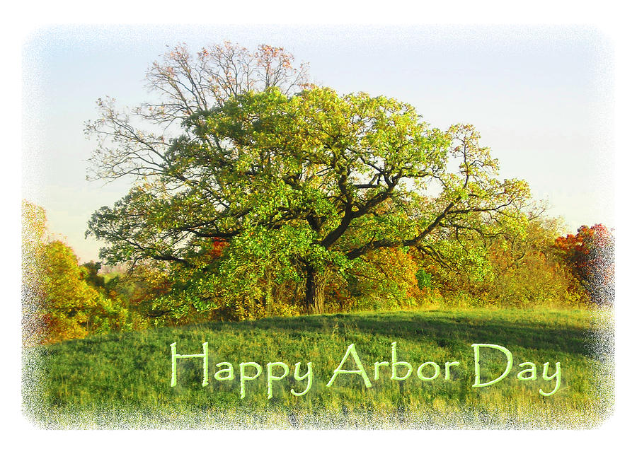 Wildlife Photograph - Arbor Day Tree by Jeanette K