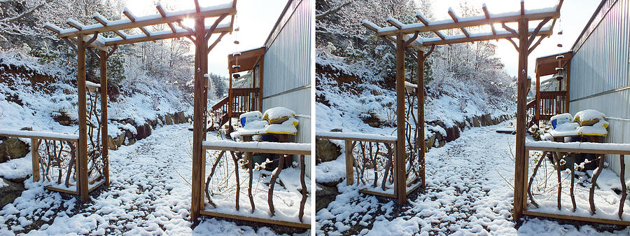 Arbor in the Snow in Stereo Photograph by Duane McCullough