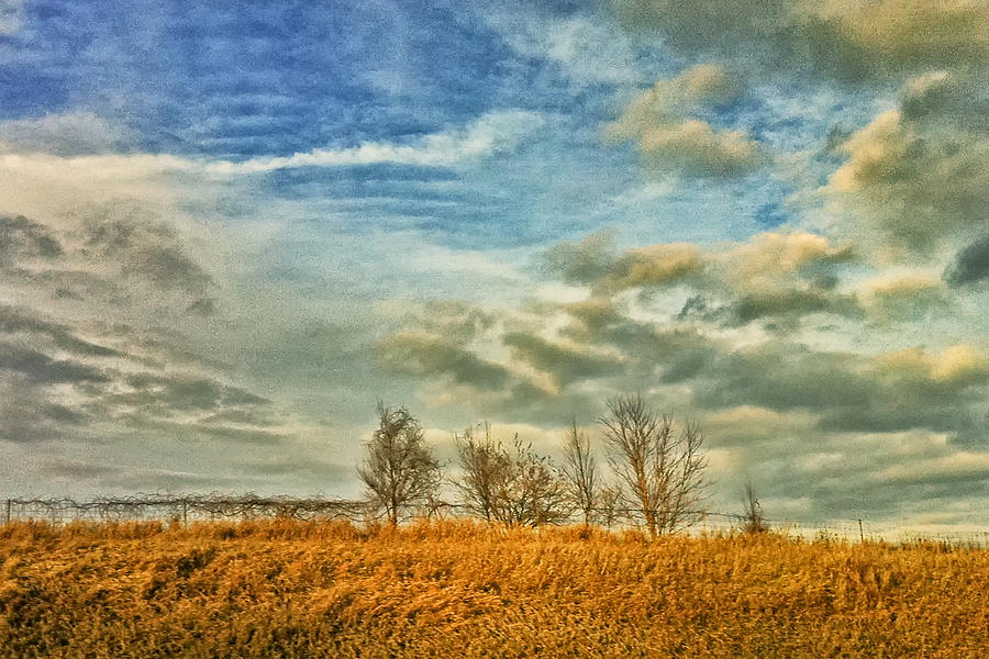 Midwest Meadow Photograph by Jennifer Kane | Fine Art America