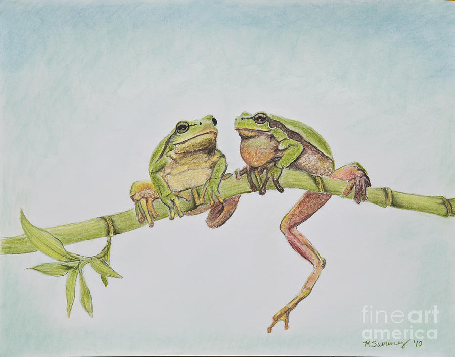 Nature Painting - Arboreal Frogs in Pastel by Kate Sumners