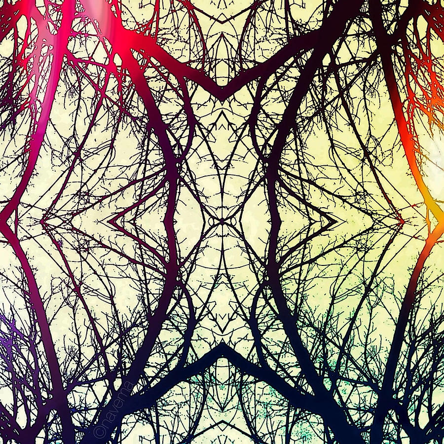 Arboreal Web Colors Photograph by Natasha Marco