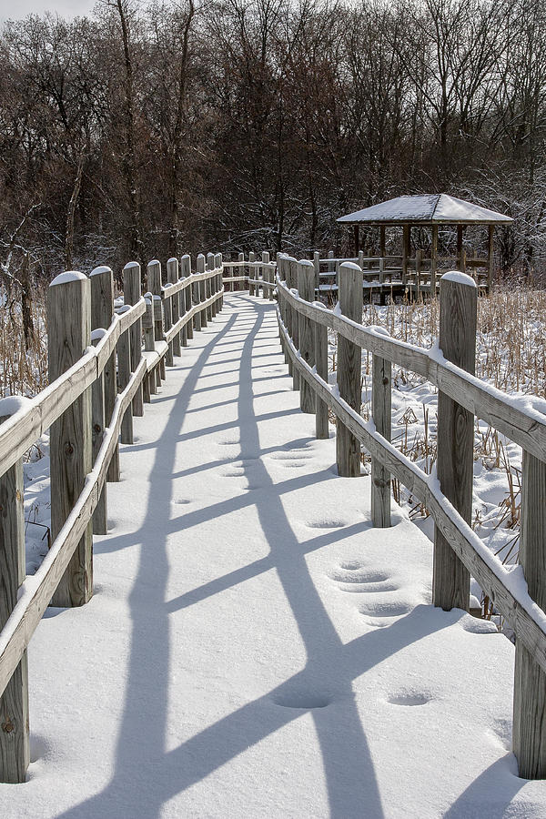 Arboretum boardwalk - Madison - Wisconsin Photograph by Steven Ralser