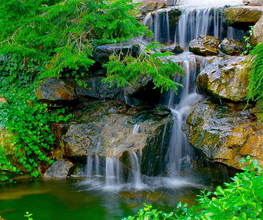 Arboretum Falls Photograph by Tim G Ross - Fine Art America