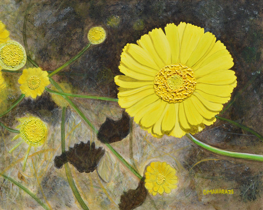 Arboretum Wild Flower by Donna Manaraze Arboretum Wild Flower by Donna Manaraze