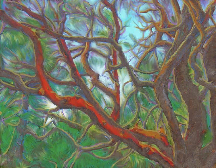 Arbutus Tree Painting by Hidden  Mountain