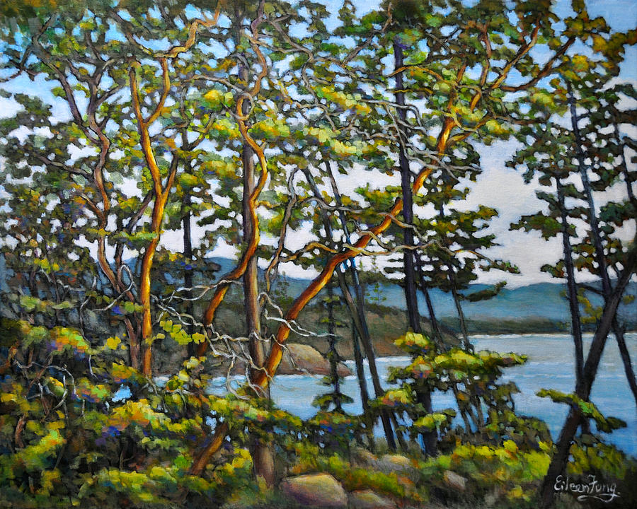 Arbutus Trees by the Shore No.15 Painting by Eileen  Fong