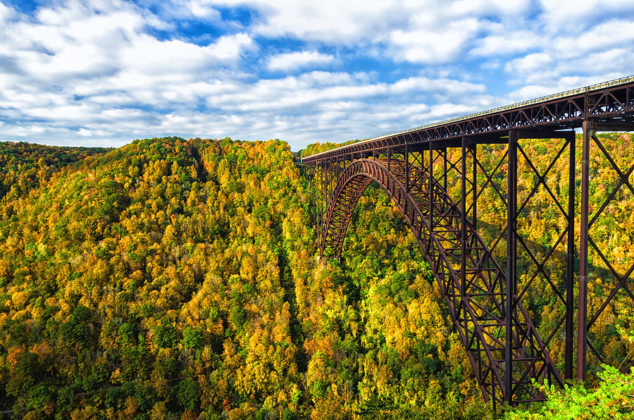 Arch Bridge and Colorful Fall Foliage Photograph by Lori Coleman