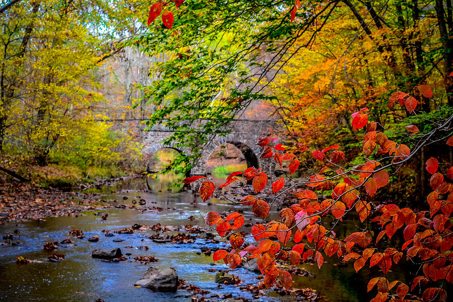 Arch Bridge at Pidcock Creek Photograph by Michael Brooks - Fine Art ...