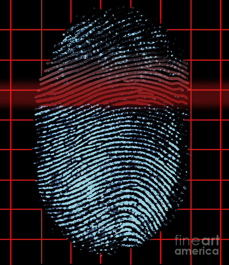 arc fingerprint