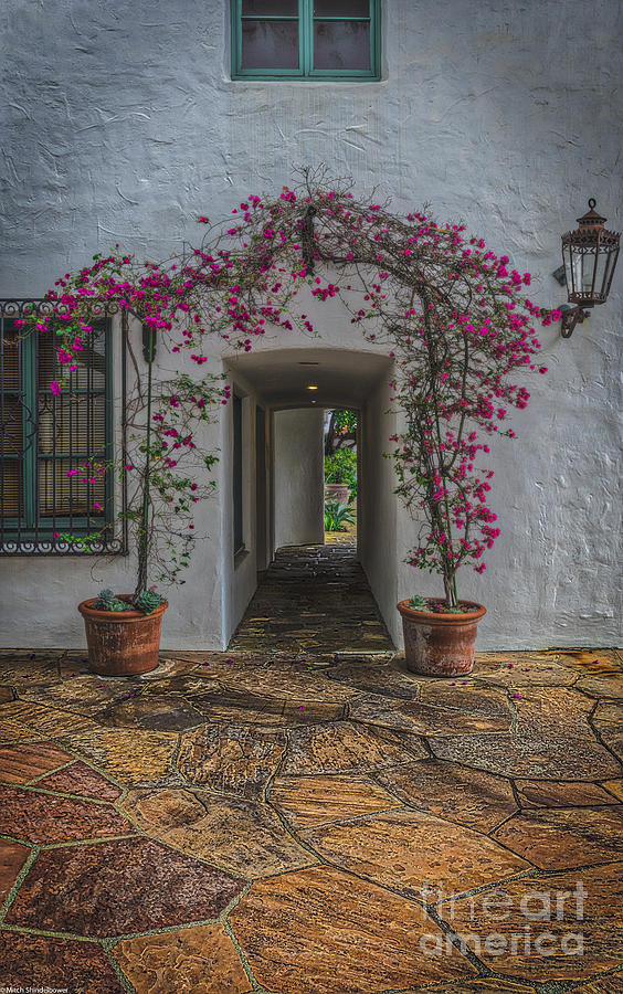 Architecture Photograph - Arch Of Bougainvillea by Mitch Shindelbower