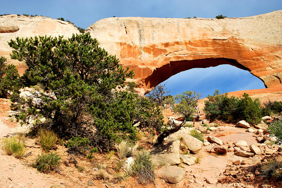 Landscape Photograph - Arch of the American Southwest by Gregory Ballos