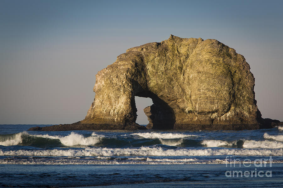 Arch Rock - Oregon Coast Photograph by Brian Jannsen