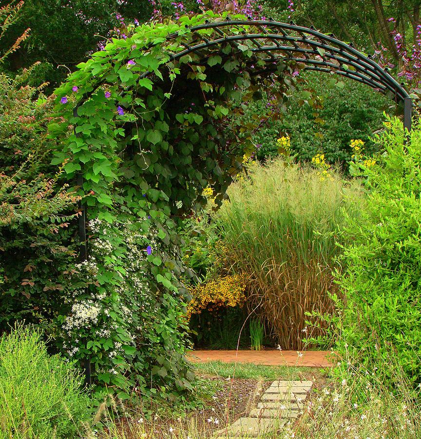 Arch Photograph by Rodney Lee Williams - Fine Art America