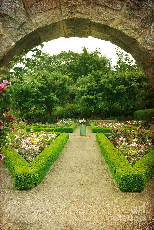 Arch to the Rose Garden Photograph by Maria Janicki