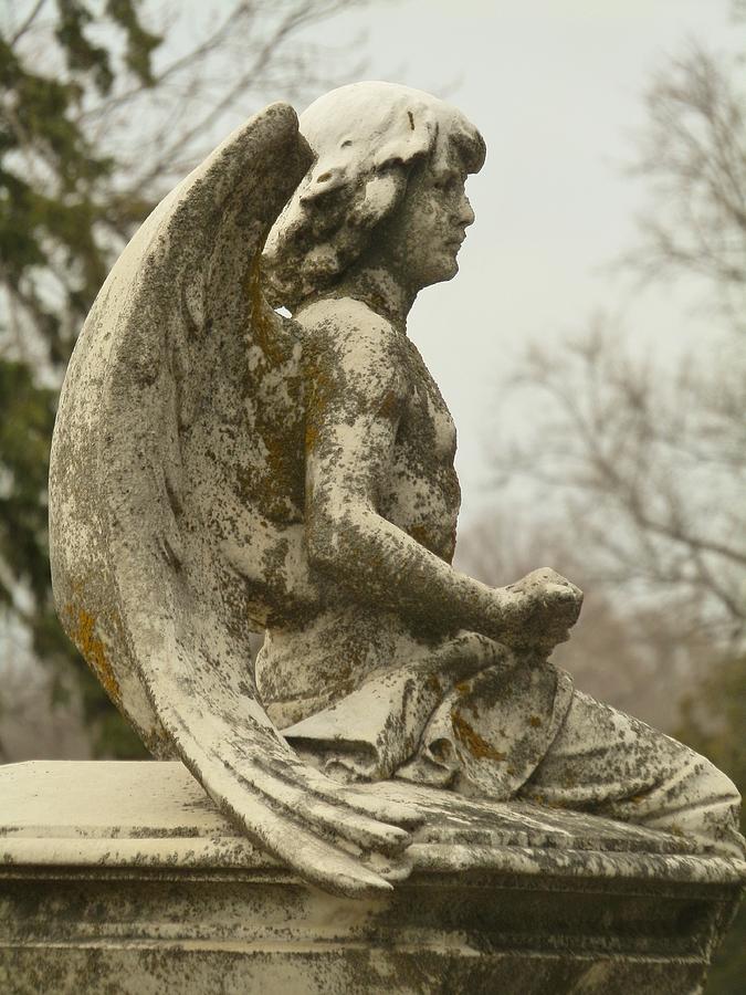 Archangel Michael Photograph by Cindy Fleener