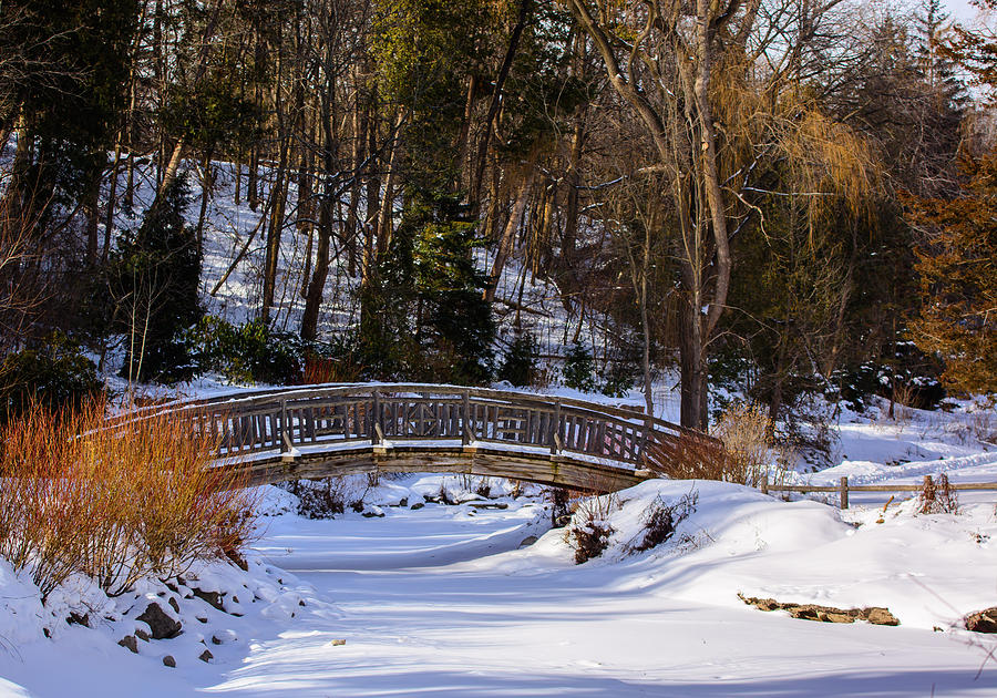 Arched Bridge in Edwards Garden Photograph by James Canning