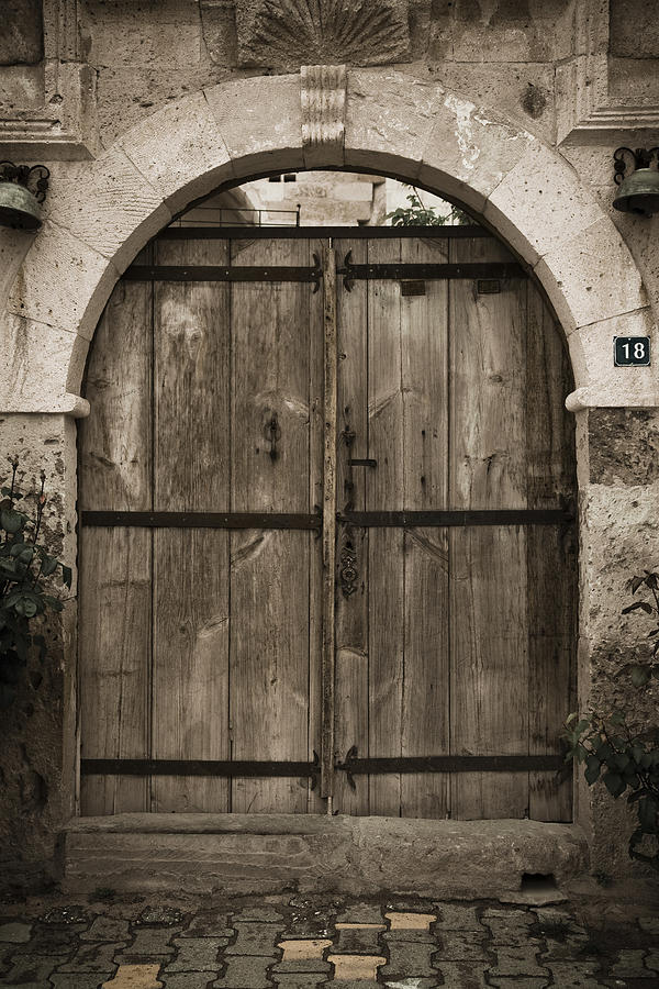 Arched door Photograph by Maria Heyens